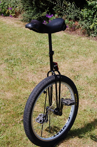 DSC_4265.JPG