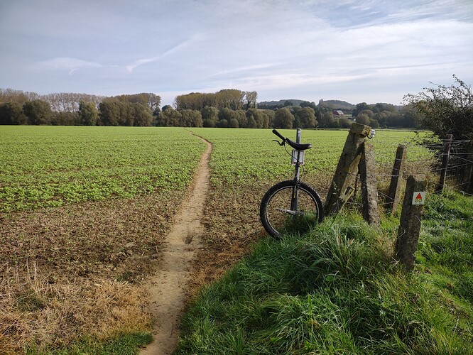 IMG_20211018_111337102