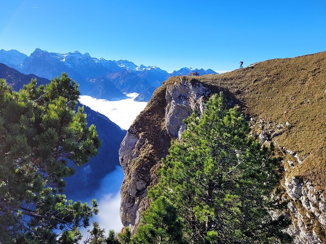 signal-2022-11-13-183825_010