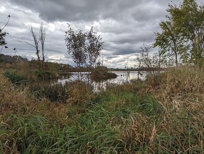 PXL_20231014_185527476