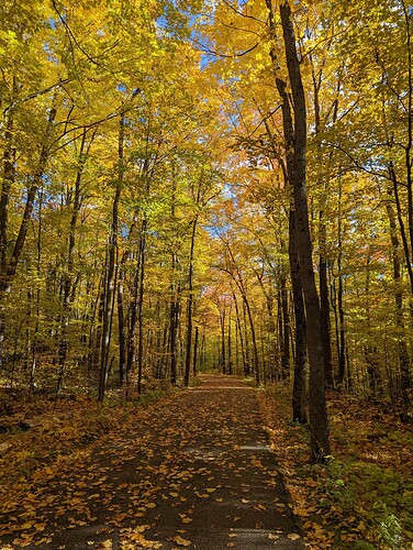 PXL_20221009_193638087