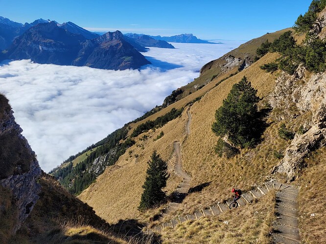 signal-2022-11-13-183825_014