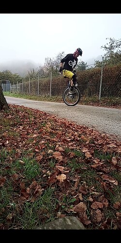 Screenshot_20241110-165805