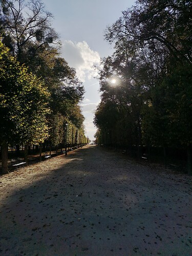 allée blossac
