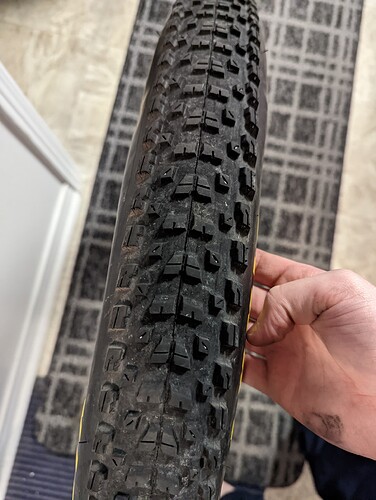 PXL_20221119_001821959