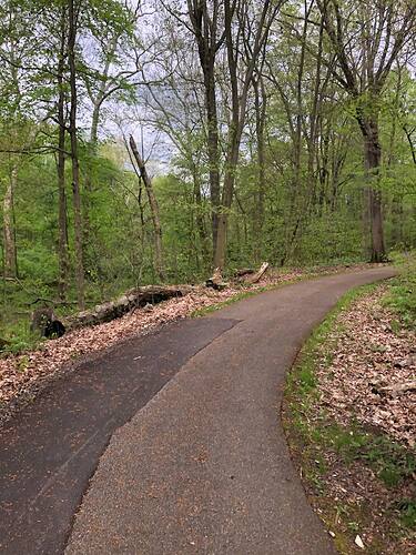 photo_3_2024-05-07_18-50-05
