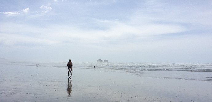 IMG_0707 (800x385).jpg