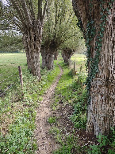 IMG_20211018_111628062