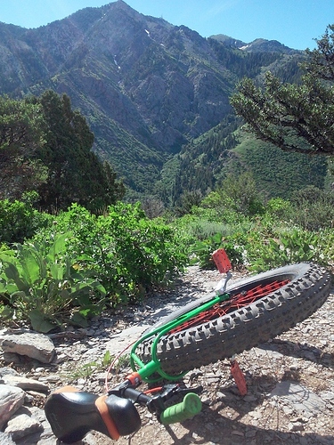 Nimbus dominator 26 fat.jpg