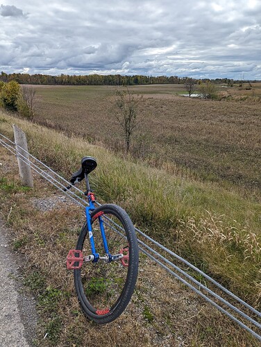 PXL_20231014_175208438