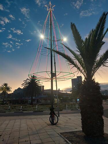 Xmas lights