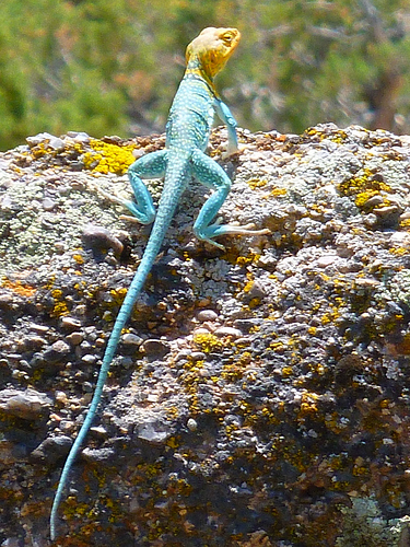 low res pics2013-06-03_2.JPG