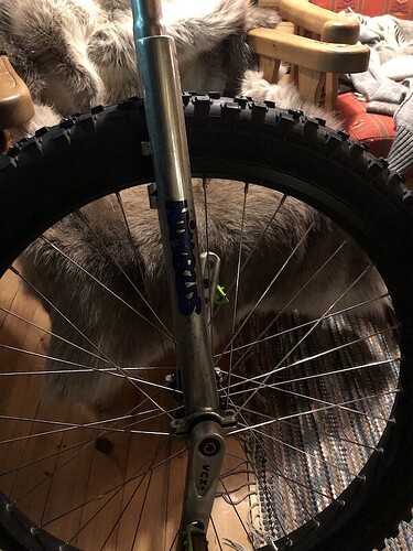2009 Nimbus Muni frame shown from the side with older logo in blue