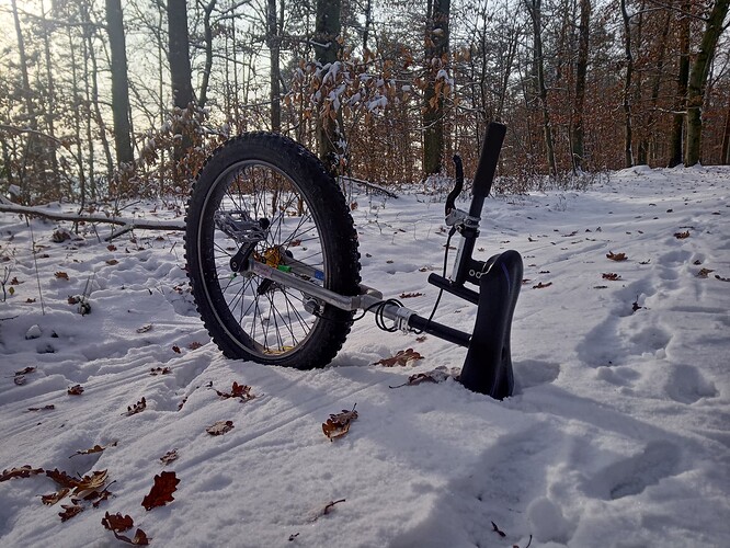 IMG_20221218_131851_1