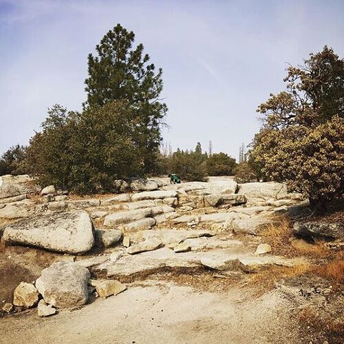 Screen Shot 2020-10-27 at 10.24.19 AM