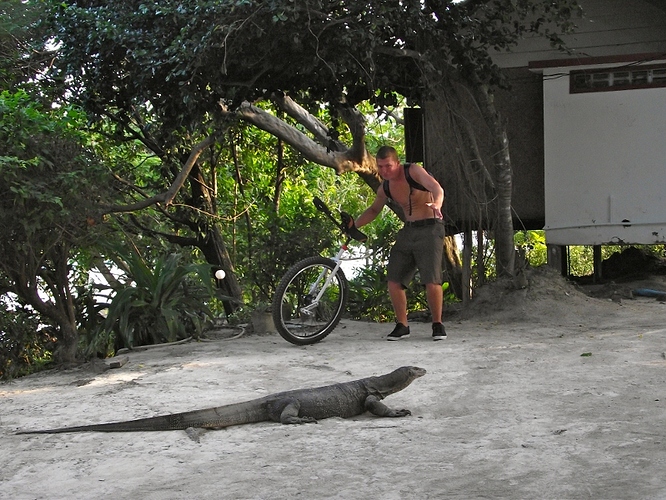 DSCF8677 (800x600).jpg