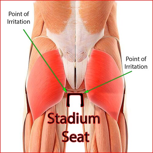 Stadium Seat