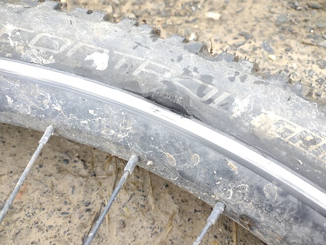 IMG_20220203_100121715