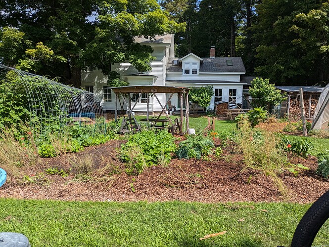 PXL_20250720_143827197