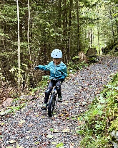 cdde85aa-f028-4041-8598-cc020a521226