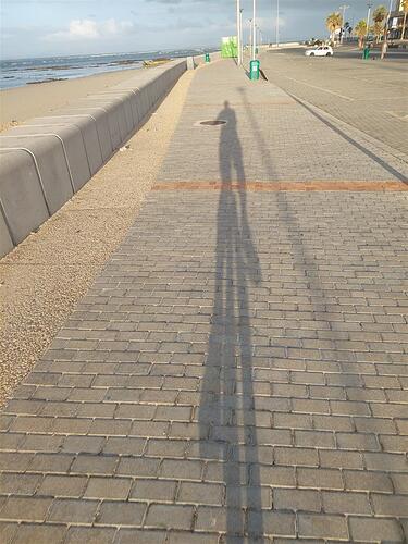 Morning Ride