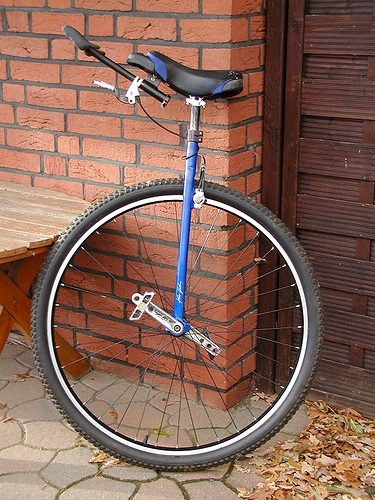 PB110011.JPG