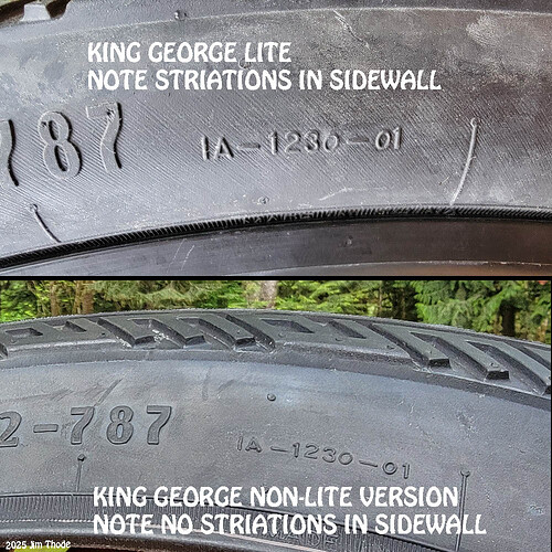 20241105_112527 King George lite nonlite