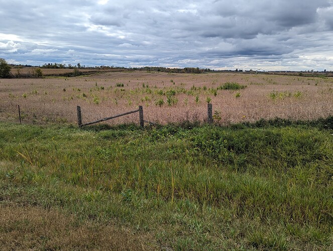 PXL_20231014_174201219