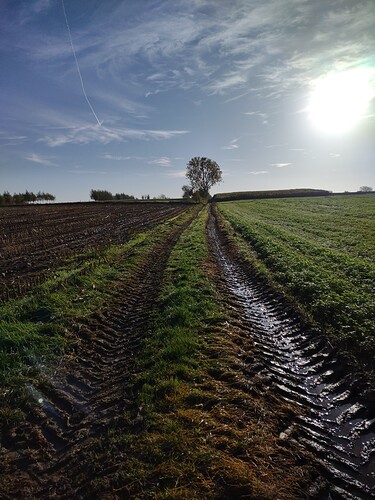 IMG_20211022_101452096