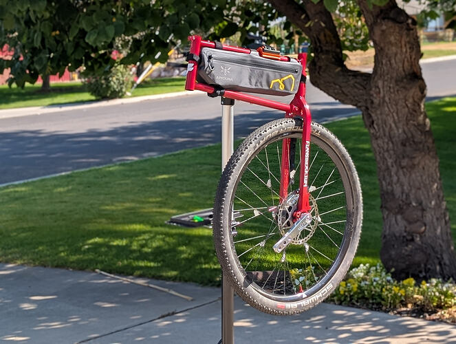 PXL_20250805_162854764.PORTRAIT