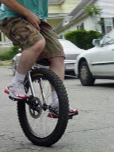 480.jpg