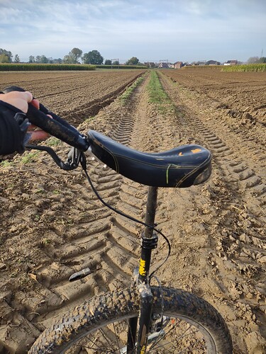 IMG_20211018_104017382