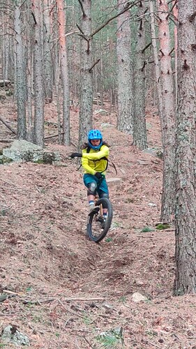 IMG_20241202_13310685