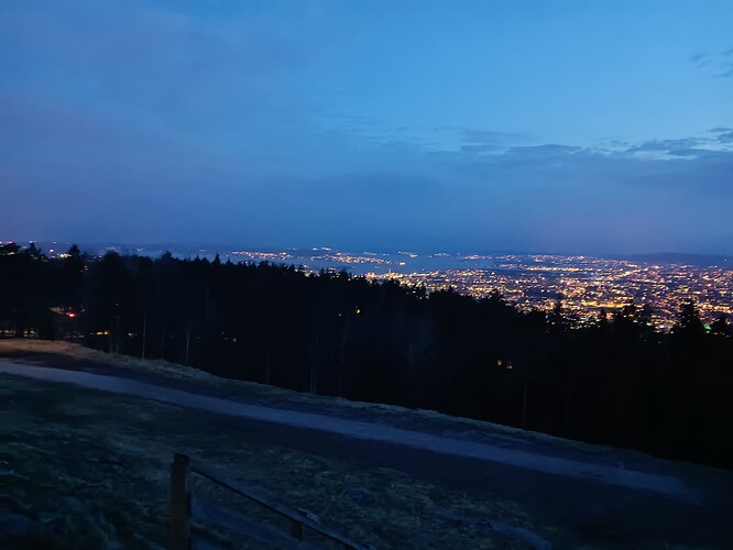 A view of Oslo at night from Grefsenkollen