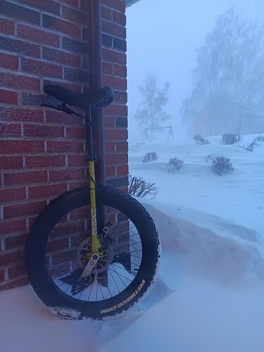 AVDiHOqX7W4BN6WthXmauAmTvytU3tSooKnRV6LSMdc-1536x2048