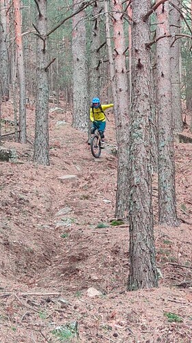 IMG_20241202_13304512