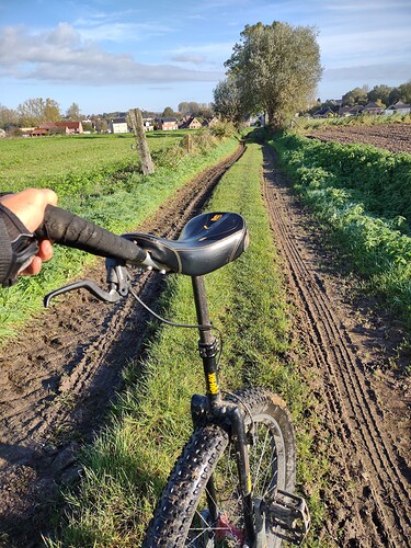 IMG_20211022_103624010