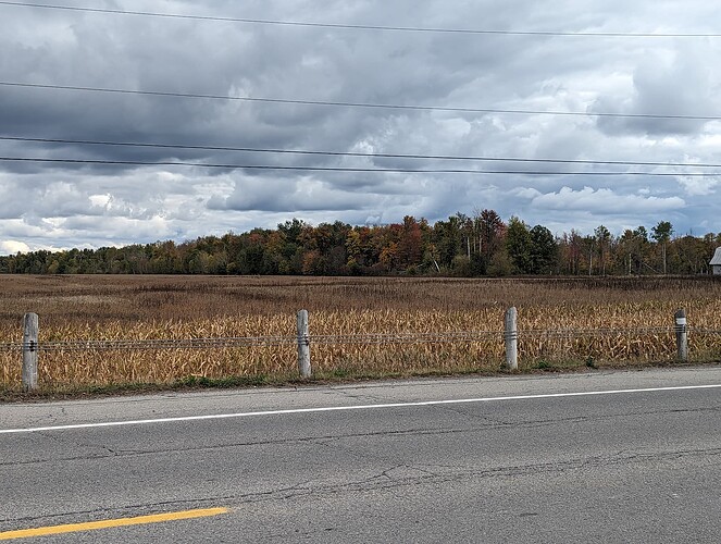 PXL_20231014_175219006