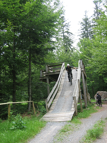 IMG_4703.jpg