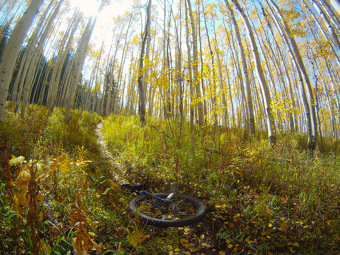 sunnyside 29er fall2009-05-31.JPG