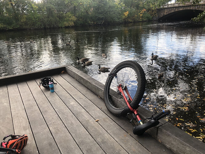 20211016_190145261_iOS