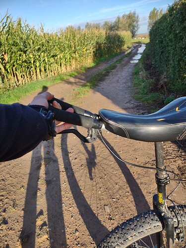 IMG_20211022_100649123