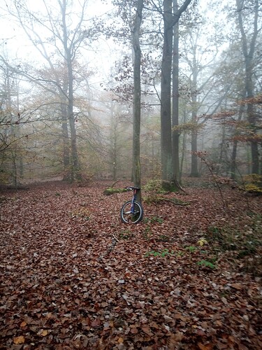 IMG_20241110_155800_723