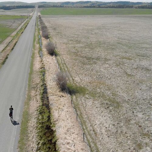 Dave Cox wide open country