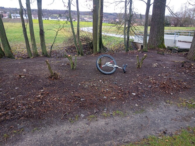 IMG_20211229_105755_0