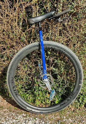 IMG_20220401_150246(1)