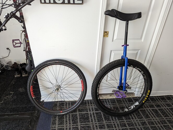 PXL_20230315_153431041