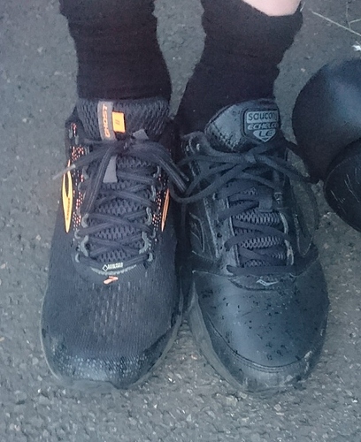 _20190730_174158.JPG