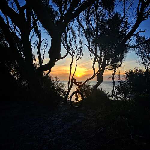 IMG_20231028_082045_990