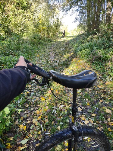 IMG_20211022_114035957